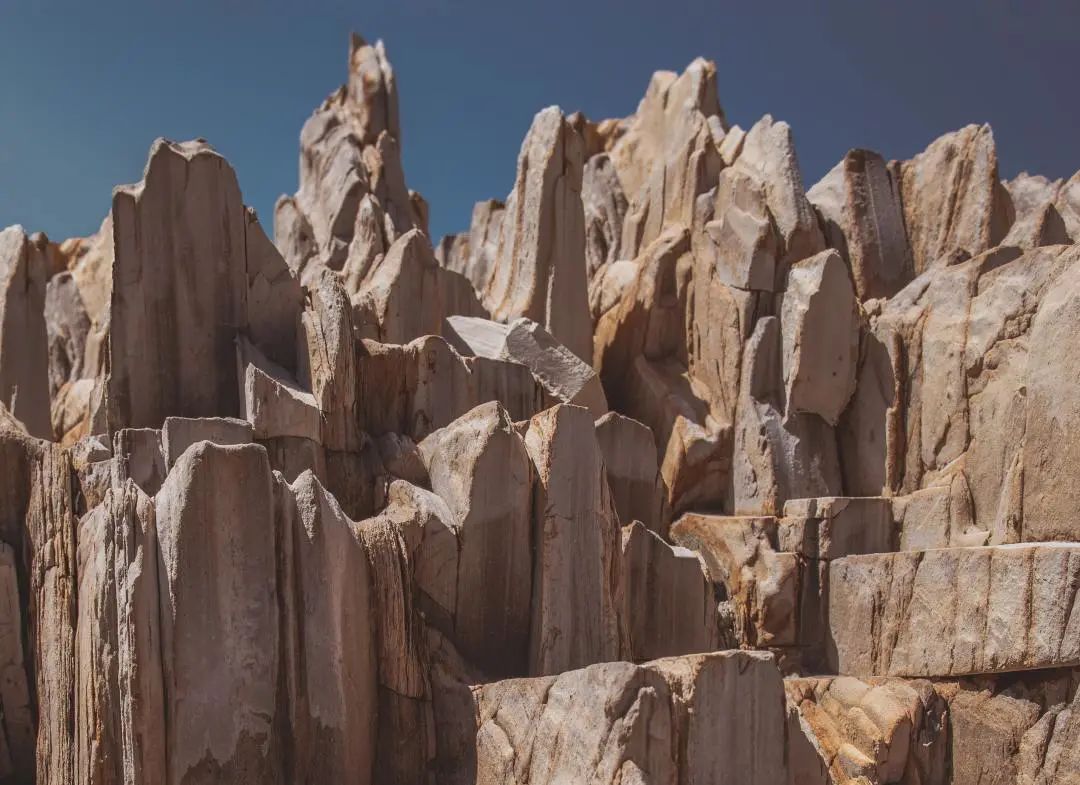 1659596654540308.jpg 20220804_145114_001.jpg