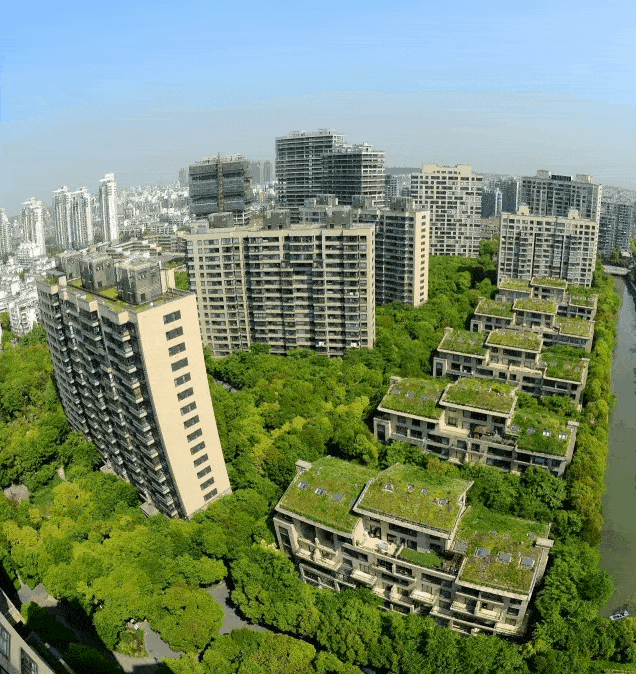 1703556688367750.jpg 20231226_100632_001.jpg