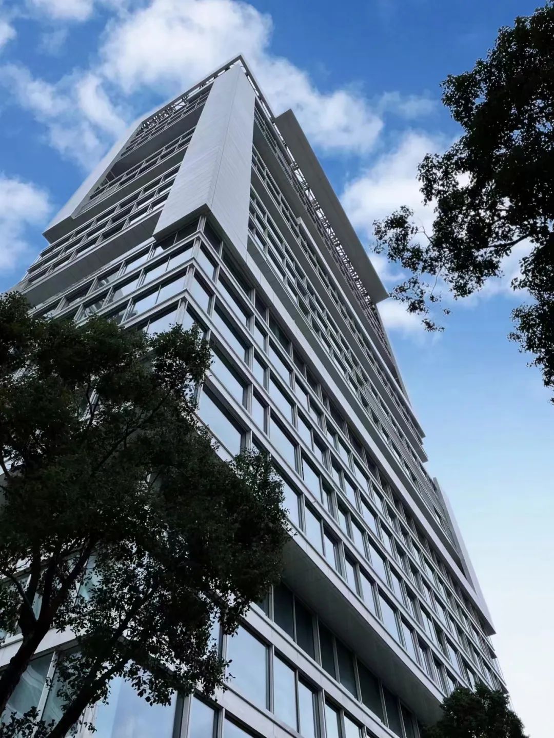 1703556858157775.jpg 20231226_100632_010.jpg