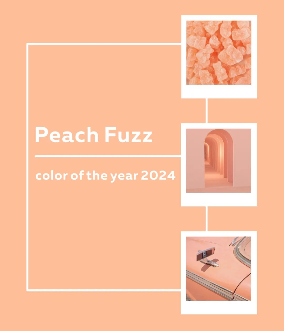 1703662465202852.jpg 20231227_153237_024.jpg